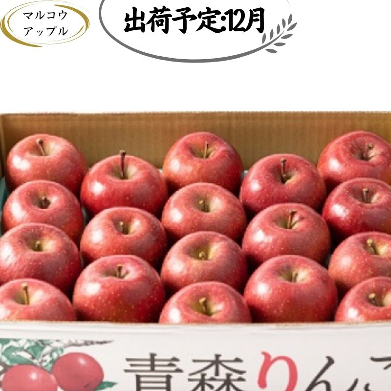 【12月発送】 家庭用濃厚サンふじ約5kg　糖度13度以上【訳あり】青森津軽りんご　【板柳町】　お届け：2024年12月1日～2024年12月30日