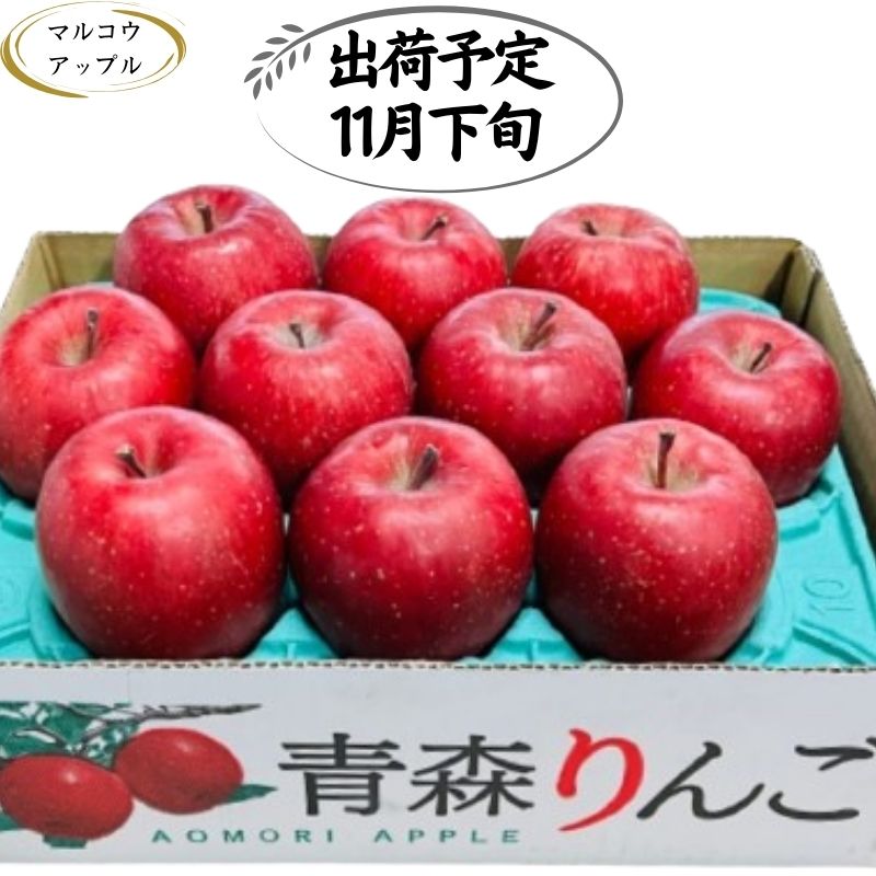  特A 濃厚サンふじ約3kg　糖度13度以上　　お届け：2024年11月下旬～2024年11月30日