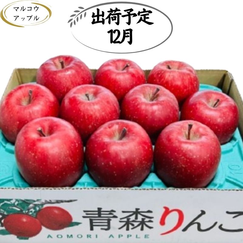 【12月発送】特A 濃厚サンふじ約3kg　糖度13度以上【青森りんご・マルコウアップル】　【板柳町】　お届け：2024年12月1日～2024年12月30日