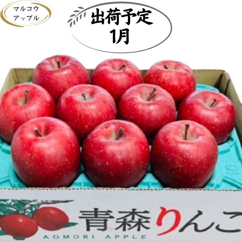 【ふるさと納税】【1月発送】特A 濃厚サンふじ約3kg 糖度