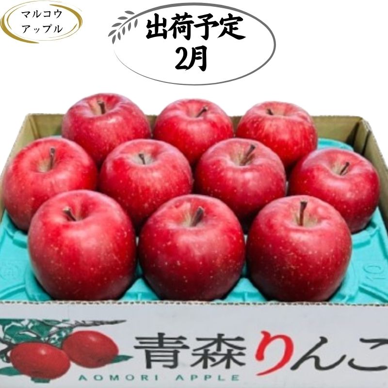 【2月発送】特A 濃厚サンふじ約3kg 糖度13度以上【青森りんご・マルコウアップル】　【板柳町】　お届け：2025年2月1日～2025年2月28日