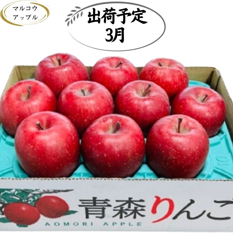 [3月発送]特A 濃厚サンふじ約3kg 糖度13度以上[青森りんご・マルコウアップル] お届け:2026年3月1日〜2026年3月31日