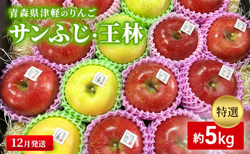 【ふるさと納税】【12月発送】【里いちみfarm】青森県津軽のりんご　特選「サンふじ・王林」約5kg 　お届け：2025年12月1日～2025年12月25日