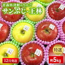 【ふるさと納税】【12月発送】【里いちみfarm】青森県津軽のりんご 特選「サンふじ・王林」約5kg お届け:2025年12月1日~2025年12月25日