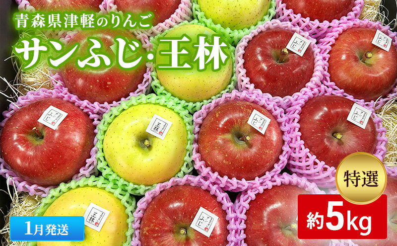 【ふるさと納税】【1月発送】【里いちみfarm】青森県津軽のりんご　特選「サンふじ・王林」約5kg 　お届け：2026年1月8日～2026年1月30日