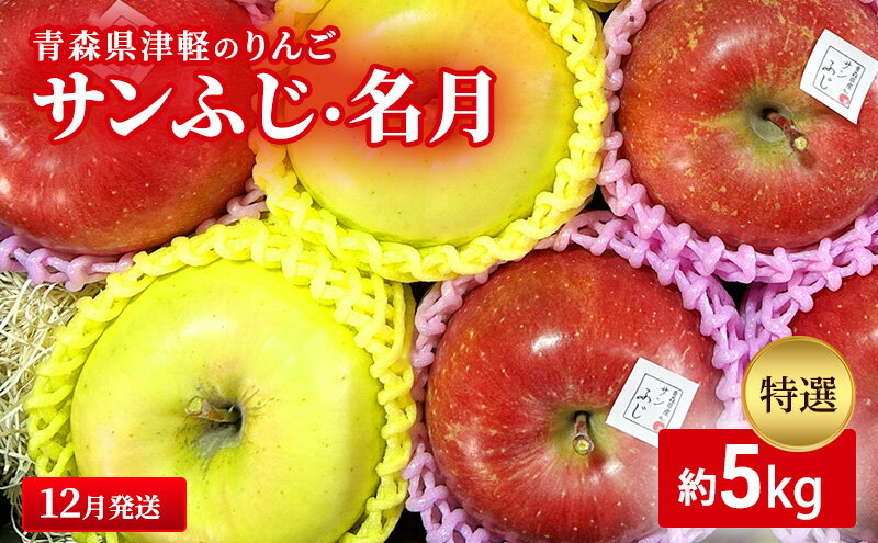 【ふるさと納税】【12月発送】【里いちみfarm】青森県津軽のりんご　特選「サンふじ・名月」約5kg 　お届け：2025年12月1日～2025年12月25日