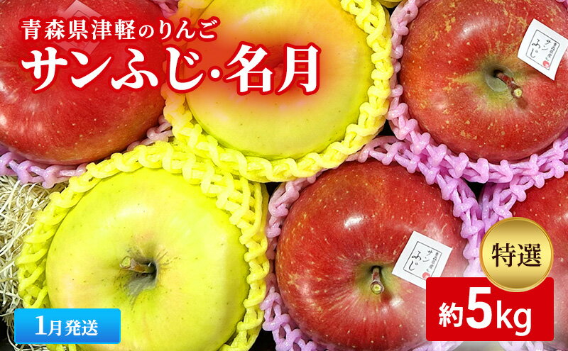 【ふるさと納税】【1月発送】【里いちみfarm】青森県津軽のりんご　特選「サンふじ・名月」約5kg 　お届け：2026年1月8日～2026年1月30日