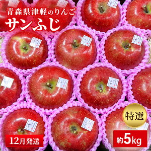【ふるさと納税】【12月発送】【里いちみfarm】青森県津軽のりんご 特選「サンふじ」約5kg お届け:2025年12月1日~2025年12月25日
