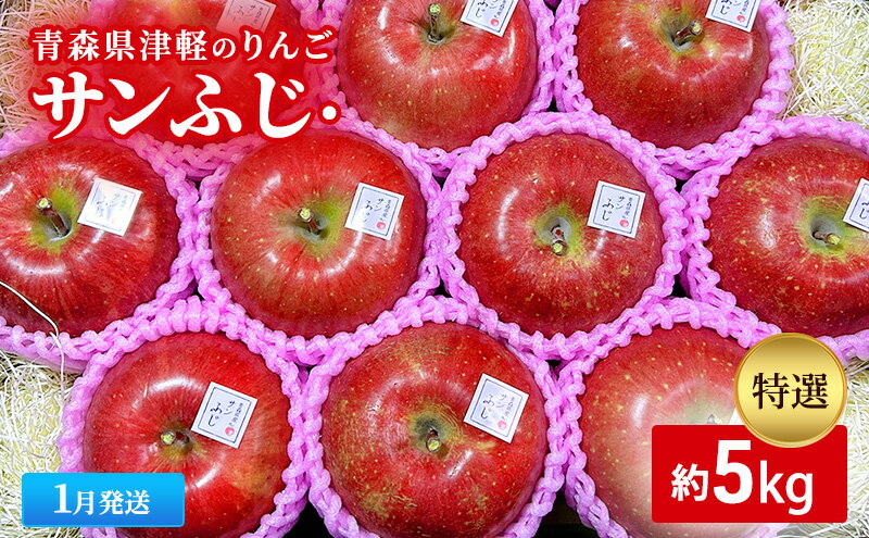 【ふるさと納税】【1月発送】【里いちみfarm】青森県津軽のりんご　特選「サンふじ」約5kg 　お届け：2026年1月8日～2026年1月30日