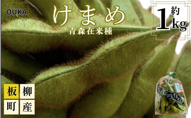 【ふるさと納税】【2026年産 先行予約】津軽地方在来種 毛豆約1kg　お届け：2026年9月下旬～2026年10月上旬まで