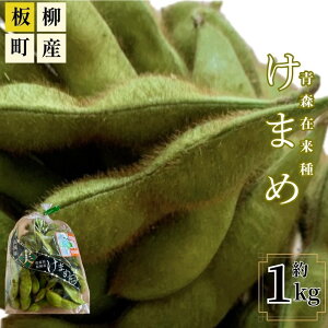 【ふるさと納税】【2026年産 先行予約】津軽地方在来種 毛豆約1kg お届け:2026年9月下旬~2026年10月上旬まで