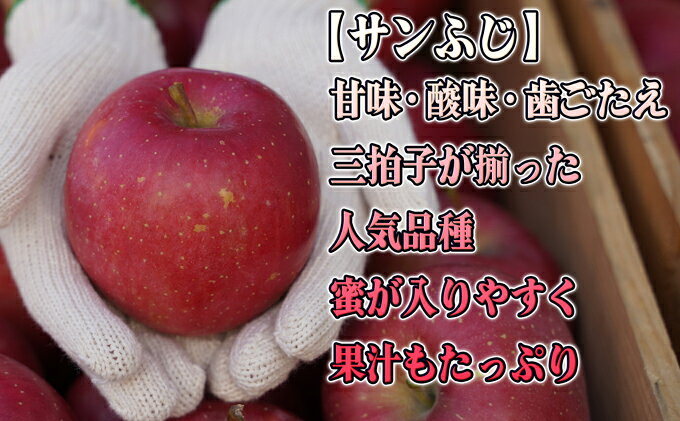 【ふるさと納税】12月 特A サンふじ約5kg（12～18個）14.5度糖度保証【青森りんご・ゆうきアップル・12月】　お届け：2026年11月15日～2026年12月30日 f023817-itayanagi-10000348 青森県板柳町 サンプル画像2
