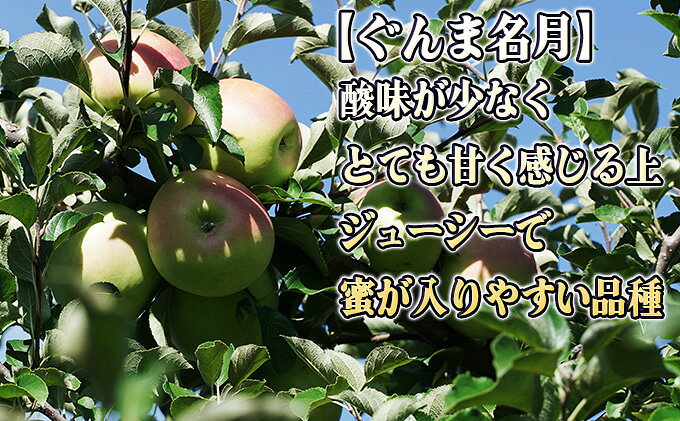 【ふるさと納税】12月 贈答規格 完熟大玉ぐんま名月約5kg（12～16個）14度糖度保証【青森りんご・ゆうきアップル・12月】 果物類 果物 フルーツ ジューシー　お届け：2026年11月15日～2026年12月30日 f023817-itayanagi-10000347 青森県板柳町 サンプル画像3