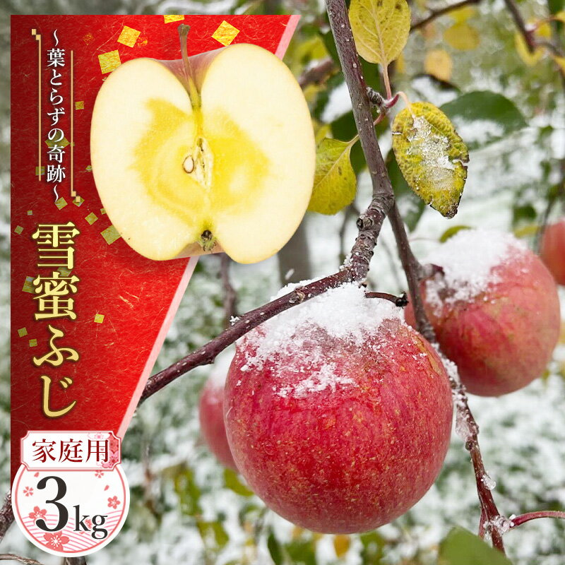 [家庭用]雪蜜ふじ〜葉とらずの奇跡〜約3kg[青森りんご・マルコウアップル]果物類 フルーツ 林檎 リンゴ 板柳町 青森県 おやつ デザート お届け:2025年11月下旬〜2026年1月下旬