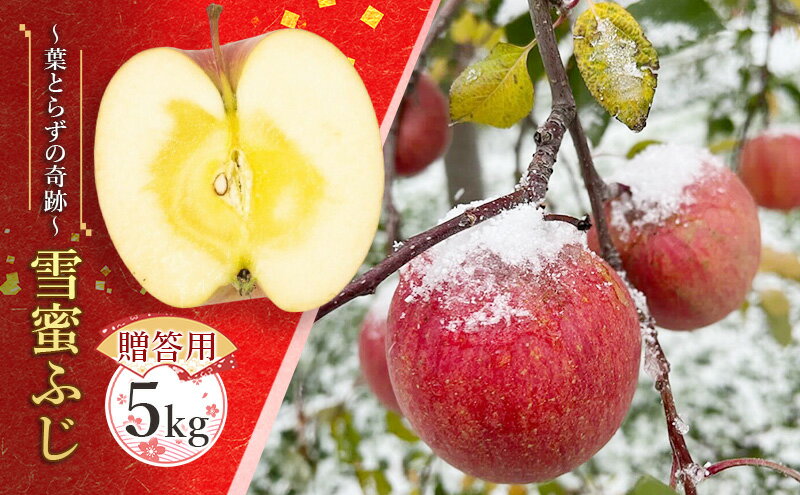 【ふるさと納税】【贈答用】雪蜜ふじ～葉とらずの奇跡～約5kg【青森りんご・マルコウアップル】果物類 フルーツ 林檎 リンゴ 板柳町 青森県 おやつ デザート　お届け：2025年11月下旬～2026年1月下旬