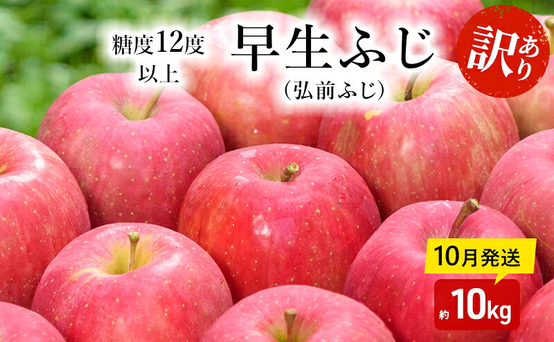 【ふるさと納税】【10月発送】（糖度12度以上）訳あり品 家庭用 早生ふじ (弘前ふじ) 約 10kg 【 青森りんご 果物類 美味しい 採れたて 選りすぐり 高糖度 12.5度 ご家庭用 甘さ 驚き 果汁 土壌 肥料 プレゼント 】　お届け：2026年10月中