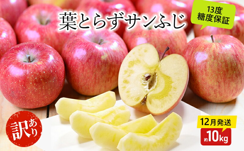 【ふるさと納税】りんご 【12月・1月発送】 蜜入り 糖度13度以上 訳あり品 家庭用 葉とらず サンふじ 約 10kg 【 青森りんご 果物 フルーツ デザート 食後 おやつ 産地直送 】　お届け：2025年12月20日頃～2025年12月27日、2026年1月20日頃～2026年1月31日