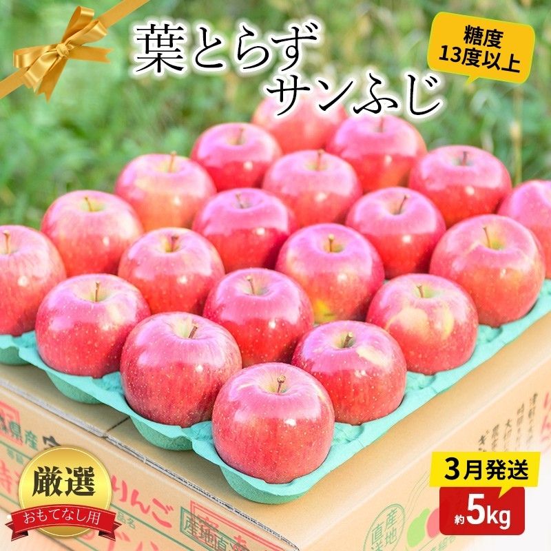 【 3月発送 】糖度13度以上 おもてなし用 葉とらず サンふじ 約 5kg 【 板柳町産 青森りんご 】果物 フルーツ デザート 食後 青森県産 産地直送 贈り物 お届け：2025年3月3日～2025年3月28日