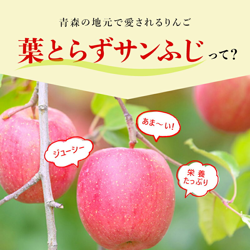 【ふるさと納税】【 2月発送 】 糖度13度以上 おもてなし用 家庭用 葉とらず サンふじ 約 5kg 【 青森りんご 】 果物 フルーツ デザート 食後 青森県産 産地直送　お届け：2027年2月中 f023817-itayanagi-10000277 青森県板柳町 サンプル画像3