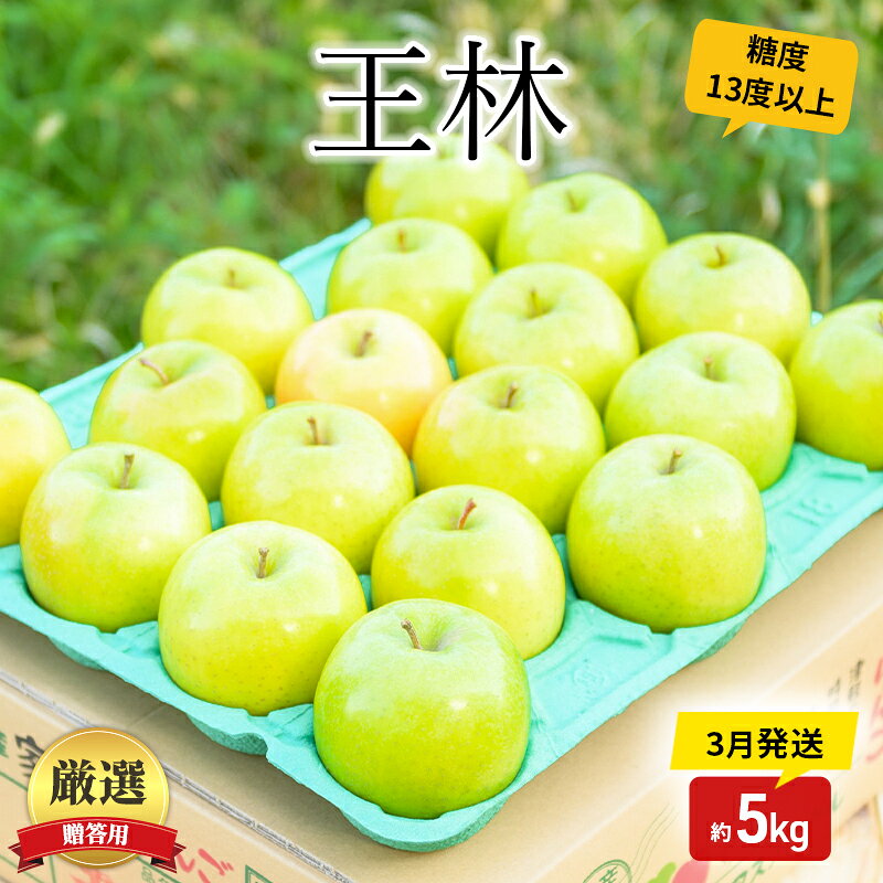 【3月発送】（13度糖度保証）贈答用王林約5kg【板柳町産・青森りんご 果物 フルーツ デザート 食後 青森県産 産地直送 贈り物 】 お届け：2024年3月1日～2024年3月28日