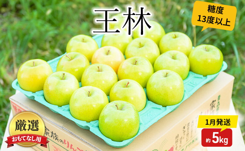 【ふるさと納税】りんご 【1月発送】 糖度13度以上 おもてなし用 家庭用 王林 約 5kg 【 青森りんご 果物 フルーツ デザート 食後 青森県産 産地直送 贈り物 】　お届け：2026年1月20日頃～2026年1月31日