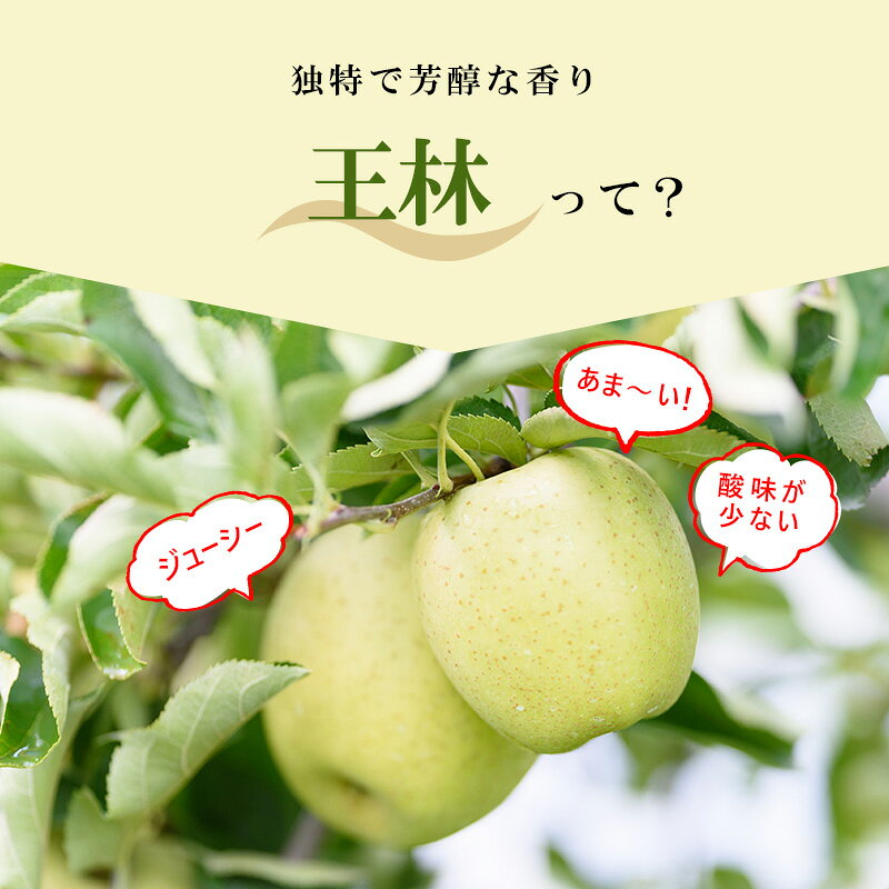 【ふるさと納税】【3月クール便発送】（13度糖度保証）訳あり品 家庭用 王林約10kg【 青森りんご 果物 フルーツ デザート 食後 青森県産 産地直送 贈り物 】　お届け：2027年3月中 f023817-itayanagi-10000284 青森県板柳町 サンプル画像3