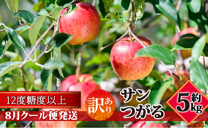 【ふるさと納税】【8月クール便発送】（糖度12度以上）訳あり品 家庭用 サンつがる約5kg【 青森りんご】　お届け：2026年8月下旬