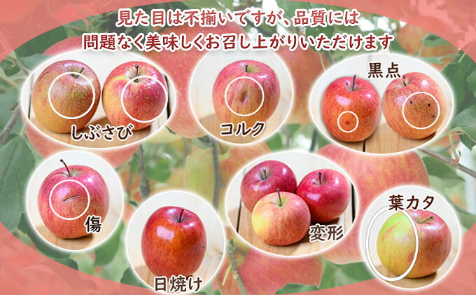 【ふるさと納税】【8月クール便発送】（糖度12度以上）訳あり品 家庭用 サンつがる約5kg【 青森りんご】　お届け：2026年8月下旬 f023817-itayanagi-10000292 青森県板柳町 サンプル画像3