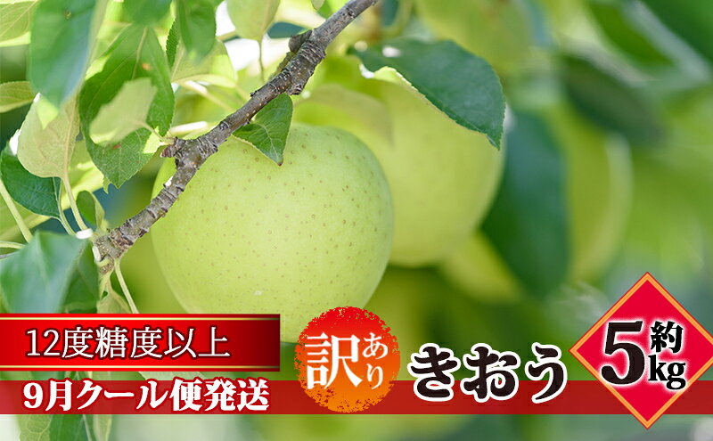 【ふるさと納税】【9月クール便発送】（糖度12度以上）訳あり品 家庭用 きおう約5kg【 青森りんご】　お届け：2026年9月中