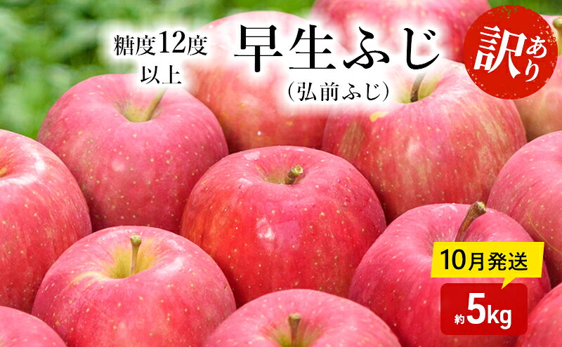 【ふるさと納税】りんご 【 10月発送 】( 糖度12度以上 ) 訳あり品 家庭用 早生ふじ ( 弘前ふじ ) 約 5kg 【 青森りんご 】　お届け：2026年10月中