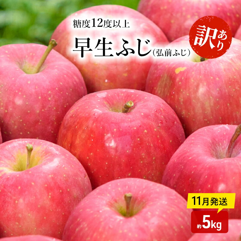 りんご [ 11月発送 ]( 糖度12度以上 ) 訳あり品 家庭用 早生ふじ ( 弘前ふじ ) 約 5kg [ 青森りんご ] お届け:2025年11月20日頃〜2025年11月30日
