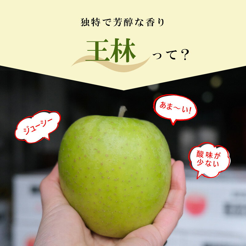 【ふるさと納税】りんご【11月発送】糖度13度以上 訳あり品 家庭用 王林 約10kg【青森りんご】　お届け：2026年11月中 f023817-itayanagi-10000300 青森県板柳町 サンプル画像3