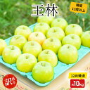 【ふるさと納税】りんご【12月発送】糖度13度以上訳あり品 家庭用王林 約10kg【青森りんご】 お届け:2025年12月20日頃~2025年12月27日
