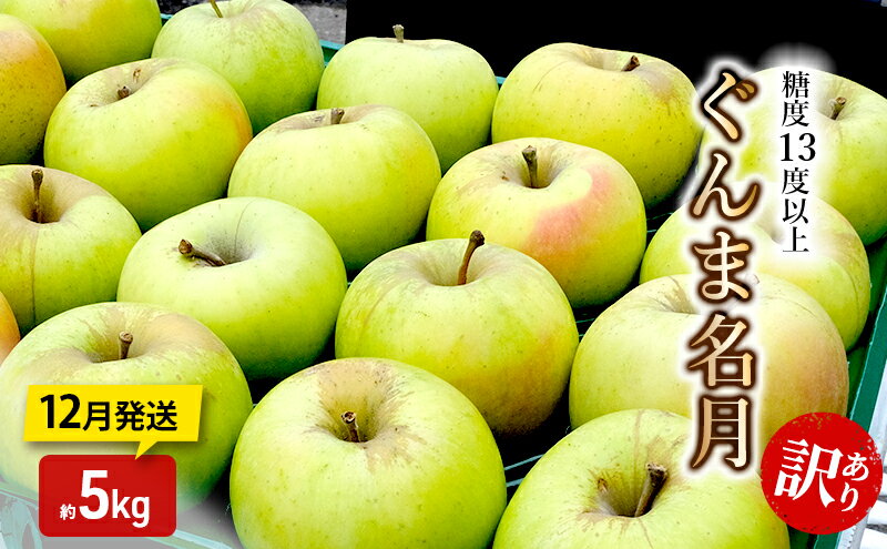 【ふるさと納税】りんご【12月発送】糖度13度以上 訳あり品 家庭用 ぐんま名月 約5kg【青森りんご】　お届け：2025年12月20日頃～2025年12月27日