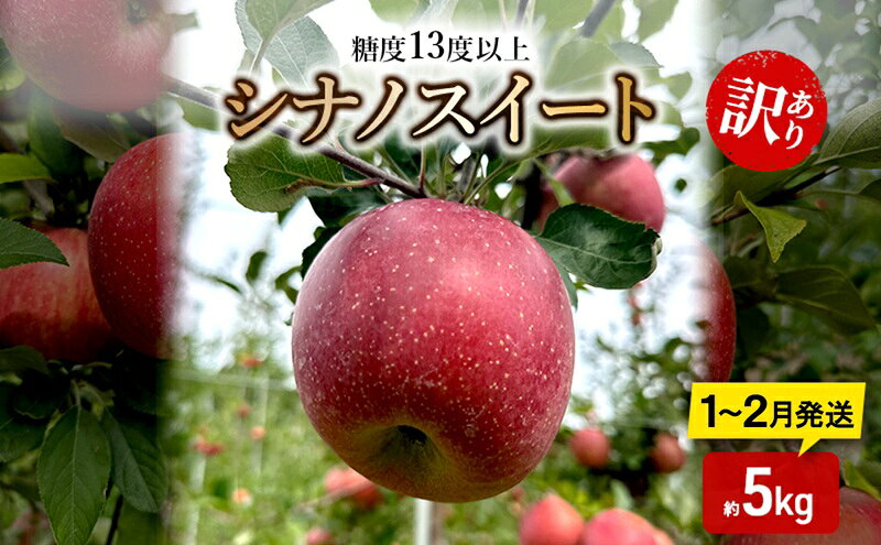 【ふるさと納税】りんご【1月～2月順次発送】糖度13度以上 訳あり品 家庭用 シナノスイート 約5kg【青森りんご】　お届け：2027年1月上旬～2027年2月末