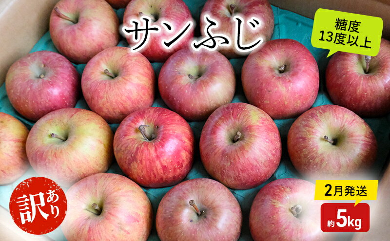 【ふるさと納税】りんご【2月発送】糖度13度以上 訳あり品 家庭用 サンふじ 約5kg【青森りんご】果物類 フルーツ 林檎 リンゴ 弘前市 青森県 おやつ デザート　お届け：2026年2月20日頃～2026年2月28日
