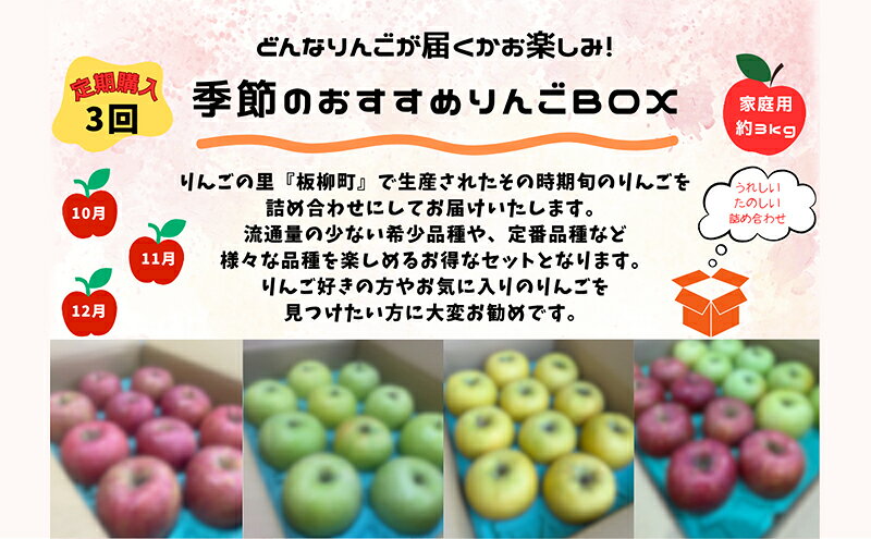 【ふるさと納税】【定期購入3回】【どんな品種が届くかお楽しみ】季節のおすすめりんごBOX/家庭用/詰め合わせ/10月・11月・12月/約3kg　青森県　りんご　リンゴ　林檎　フルーツ　くだもの　果物　お届け：2026年10月中旬～12月下旬まで