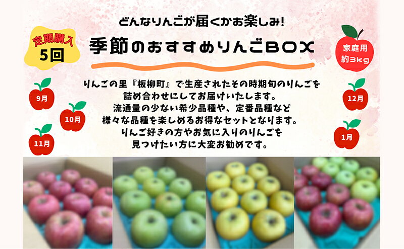 【ふるさと納税】【定期購入5回】【どんな品種が届くかお楽しみ】季節のおすすめりんごBOX/家庭用/詰め合わせ/9月・10月・11月・12月・1月/約3kg　青森県　りんご　リンゴ　林檎　フルーツ　くだもの　果物　お届け：2026年9月下旬～2027年1月下旬まで