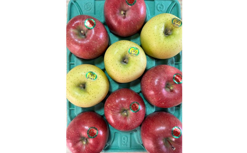 【ふるさと納税】青森県津軽のりんご 「雪むろサンふじ・シナノゴールド」秀品 1段 3kg箱 【配達不可：沖縄県・離島】　お届け：2026年3月中旬～3月下旬まで