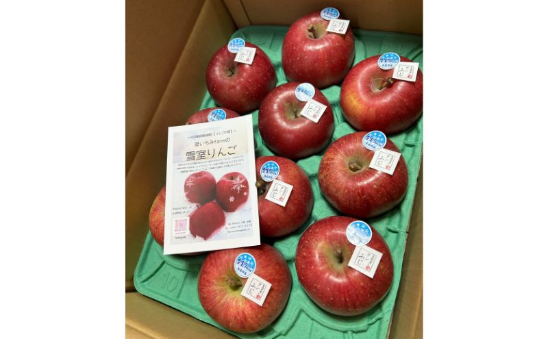 【ふるさと納税】青森県津軽のりんご 「雪室貯蔵サンふじ」 1段 3kg箱 【配達不可：沖縄県・離島】　お届け：2026年3月中旬～3月下旬まで