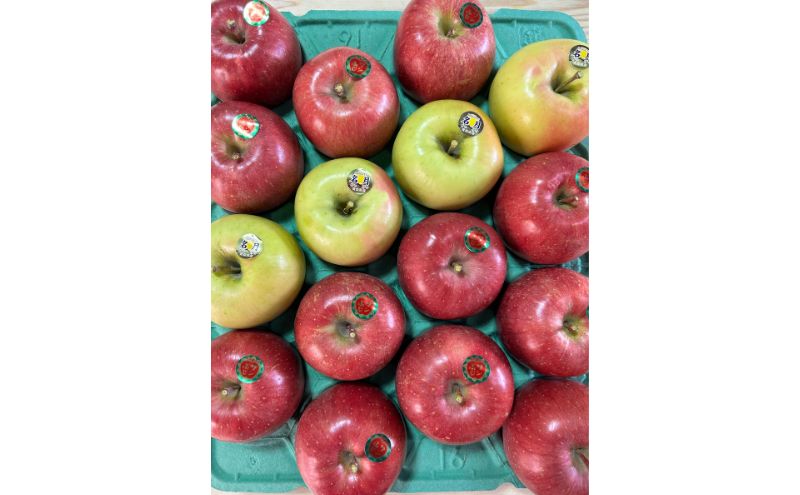 【ふるさと納税】青森県津軽のりんご 「サンふじ・名月」秀品 1段 5kg箱 【配達不可：沖縄県・離島】　お届け：2025年11月下旬～2026年1月末まで