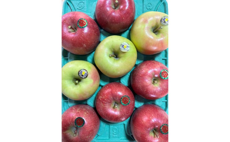 【ふるさと納税】青森県津軽のりんご 「サンふじ・名月」秀品 1段(3kg箱)　お届け：2025年11月下旬～2026年1月末まで