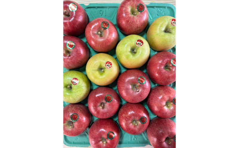 【ふるさと納税】青森県津軽のりんご 「サンふじ・王林」秀品 1段(5kg箱)　お届け：2025年11月下旬～2026年1月末まで