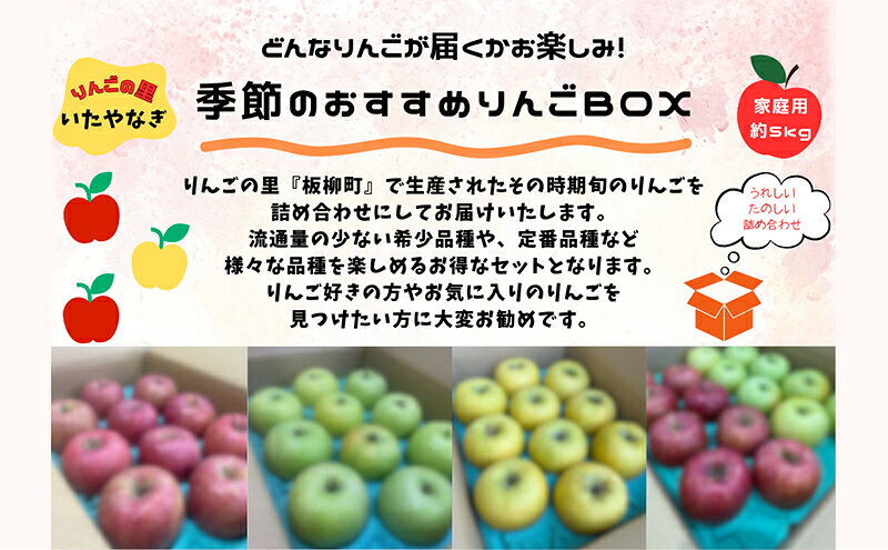 【ふるさと納税】【定期購入5回】【どんな品種が届くかお楽しみ】季節のおすすめりんごBOX/家庭用/詰め合わせ/10月・11月・12月・1月・2月/約5kg　青森県 りんご リンゴ 林檎 フルーツ くだもの 果物　お届け：2026年10月下旬～2027年2月下旬まで f023817-itayanagi-10000325 青森県板柳町 サンプル画像2