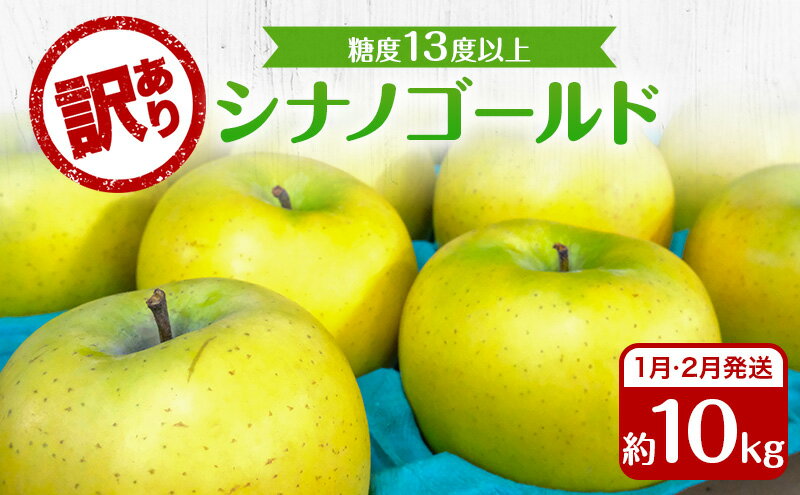 【ふるさと納税】りんご 【1月・2月発送】 糖度13度以上 訳あり品 家庭用 シナノゴールド 約 10kg 【 青森りんご 果物 フルーツ デザート 食後 青森県産 産地直送 】　お届け：2026年1月5日頃～2026年2月28日