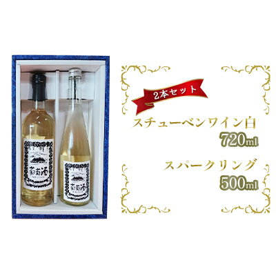 スチューベンワイン白720ml＆スパークリング500mlセット　【ワイン・お酒・ワイン・お酒・果物・ぶどう・フルーツ】