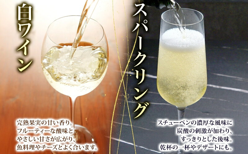 【ふるさと納税】スチューベンワイン白720ml＆スパークリング500mlセット お酒 ぶどう フルーツ f023841-tsuruta-10000138 青森県鶴田町 サンプル画像3