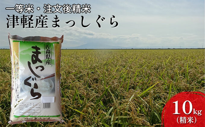 【ふるさと納税】一等米 津軽産まっしぐら10kg（精米）　【注文後精米・青森県産】　【お米・まっしぐら・10kg・精米・米】