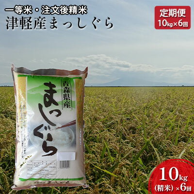 【6ヶ月連続】一等米 津軽産まっしぐら10kg（精米）×6回【定期便】　【注文後精米・青森県産】　【定期便・お米・まっしぐら・60kg・6カ月・6回・半年・米】