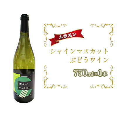 【ふるさと納税】シャインマスカットぶどうワイン 750ml×1本　【白ワイン・お酒・ワイン・シャインマスカット種・酒・アルコール】